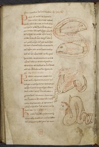 Miscellany of works on computus and astronomy, Royal MS 13 A XI by French School