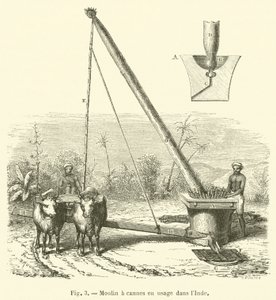 Cane Mill Used in India (engraving)