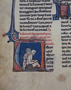 Auscultation of a Sick Man