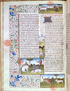 Hunting Dogs, from the Livre de la Chasse by Gaston Phebus de Foix by French School