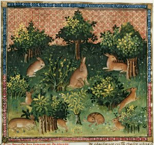 Hares in a Wood, from the Livre de la Chasse by French School
