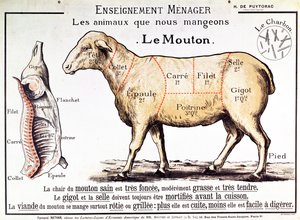 Mutton: diagram depicting the different cuts of meat by French School