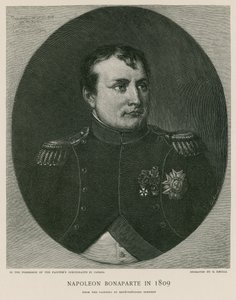 Napoleon Bonaparte in 1809 by French School