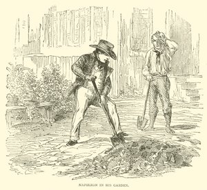 Napoleon in His Garden by French School