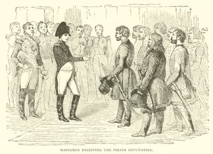 Napoleon Receiving the Polish Deputation