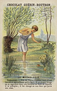 Narcissus by French School