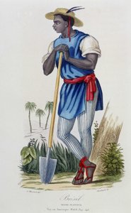 Negro planter of Brazil, from 