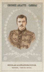 Nicholas Alexandrovich, Tsarevich, Grand Duke Heir by French School