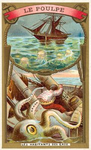 Octopus by French School