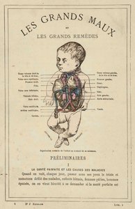 Normal organization of the child at the time of birth by French School
