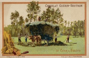 Ox cart by French School