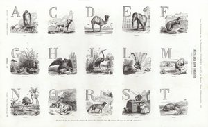 Page from Vignettes Typographiques by French School