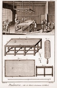 Paulmerie: Billiard room and billiard instruments - 