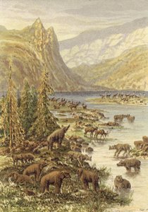 Landscape of Europe in the Tertiary period by French School