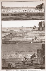 Waterbird Fishing - The Great Encyclopedie, ou Dictionnaire Raisonne des Sciences, des Arts et des Metiers (Encyclopedia or Dictionary of the Sciences, Arts and Professions) by Denis Diderot (1713-1784) and Jean d