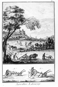 Agriculture and Ploughing (Plate of the Encyclopedia of Diderot and Alembert)
