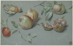 Pomegranates and Dead Bird, Early 19th Century by French School