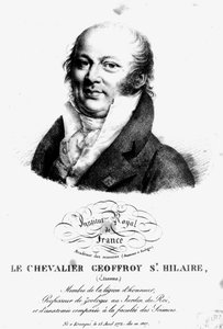 Portrait of Etienne Geoffroy Saint-Hilaire