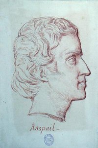 Portrait of Francois Vincent Raspail (1794-1878) by French School