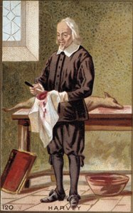 Portrait of William Harvey (1578-1657), English physician