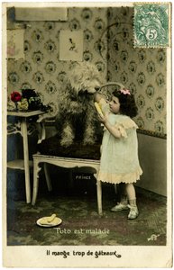 Postcard: Toto is sick, he