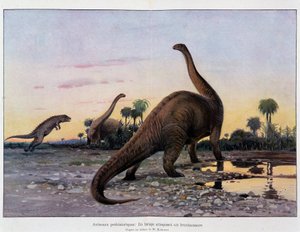 Prehistoric animals: a laelaps attacking a brontosaurus - in The Universe and Humanity by French School