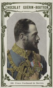 Prince Ferdinand of Bavaria by French School