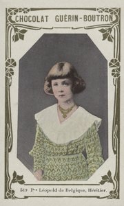 Prince Leopold of Belgium, Heir by French School