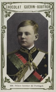 Crown Prince of Portugal by French School