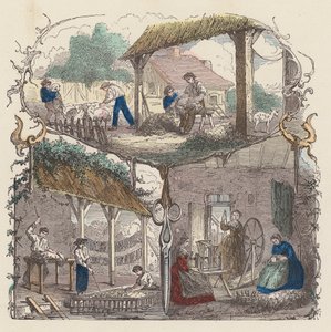 Production of Wool by French School