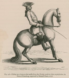 Pulling up a Horse on Snaffle (from the Manege moderne dans sa perfection, by Baron d