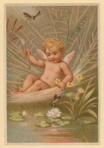 Putto Playing by French School