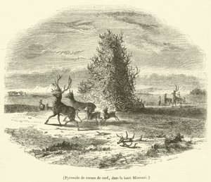 Pyramid of Deer Antlers, in Upper Missouri