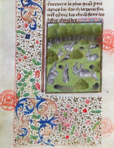 Rabbit Warren, from the Livre de la Chasse by Gaston Phebus de Foix (1331-91) by French School