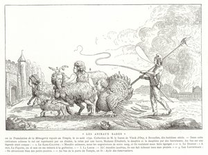 Rare Animals