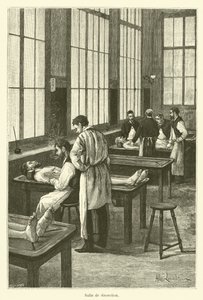 Dissection Room