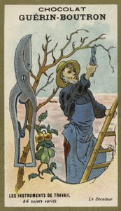 Secateurs
