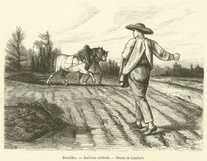 Sowing, Ancient Method (engraving)
