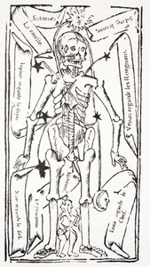 Skeleton with Signs of the Zodiac by French School