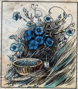 Textile, linen. Flax flower (blue), stem composed of straw and filaments to make linen yarn. Seed uses in medicine and from which oil is extracted for industry. Engraving. Epinal imaging late 19th century. by French School