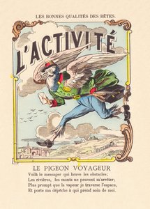 The Activity. The Passenger Pigeon c.1900