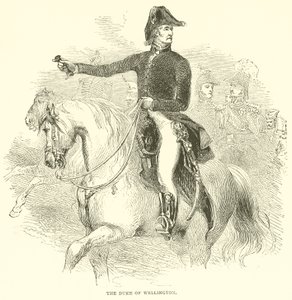 The Duke of Wellington by French School