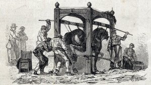 The National veterinary school of Alfort - Les grandes écoles de France - école vétérinaire de maison Alfort en 1866 - le ferrage des chevaux rétifs - Engraving in 