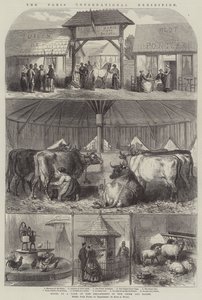 The Paris International Exhibition by French School