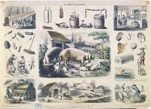 The Pig and its Products by French School