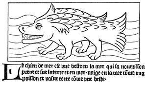 The Sea-Dog