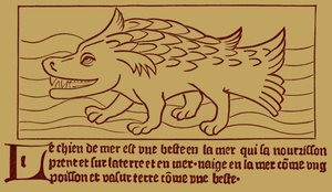 The Sea-Dog by French School