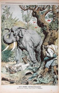 The Tragic End of an Elephant Hunt in India