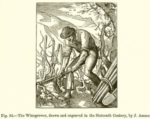 The Winegrower by French School