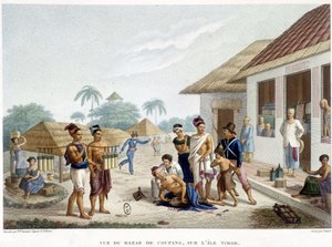 The bazaar of Coupang, island of Timor by French School